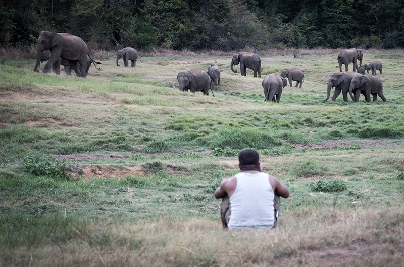 Updates on Greenheart Travel’s “Give Back” Award in Sri Lanka