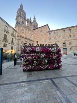 Studying in Salamanca